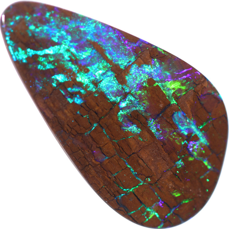 22.60 Cts Boulder Opal Holz Fossil