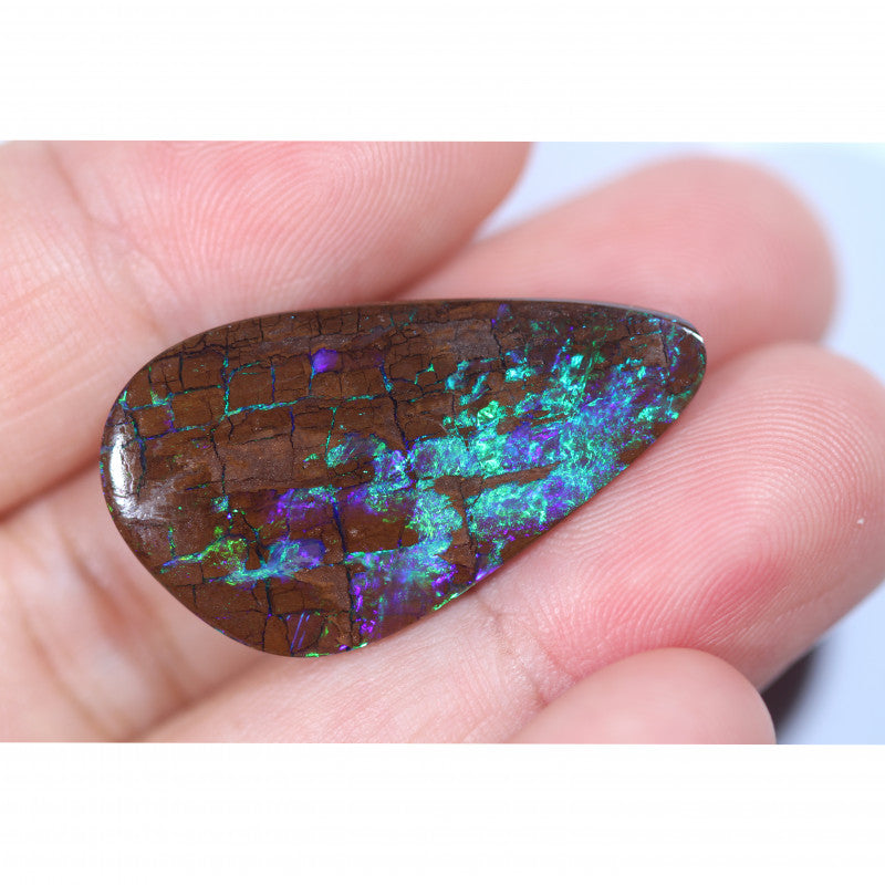 22.60 Cts Boulder Opal Holz Fossil