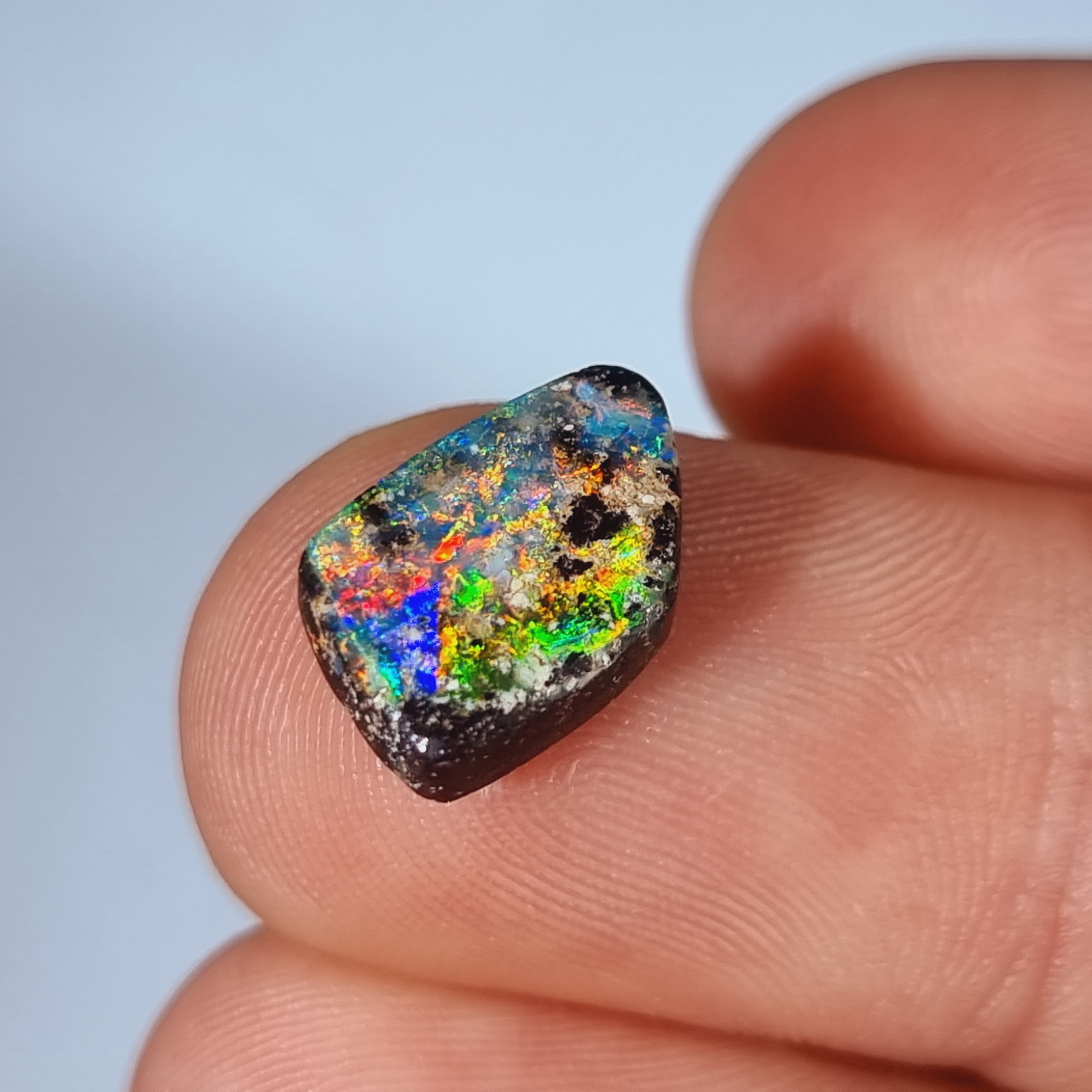 Zoomen