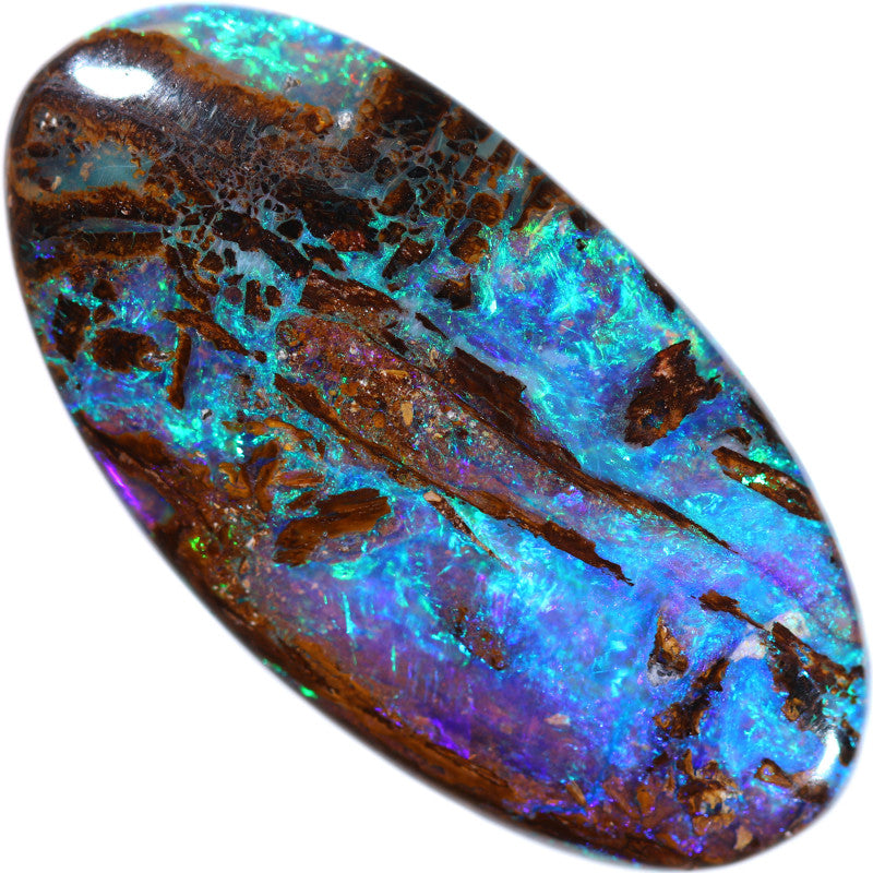 24.09 Cts Boulder Opal Holz Fossil
